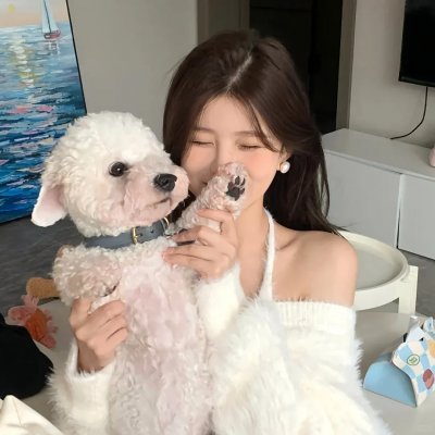 大唐女巡按